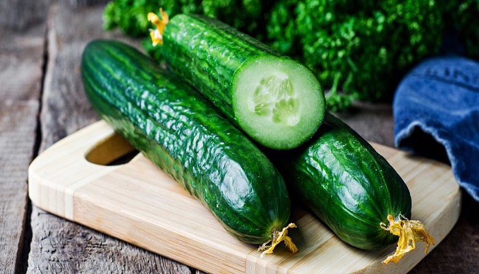 Business for Growing Cucumbers In Greenhouses