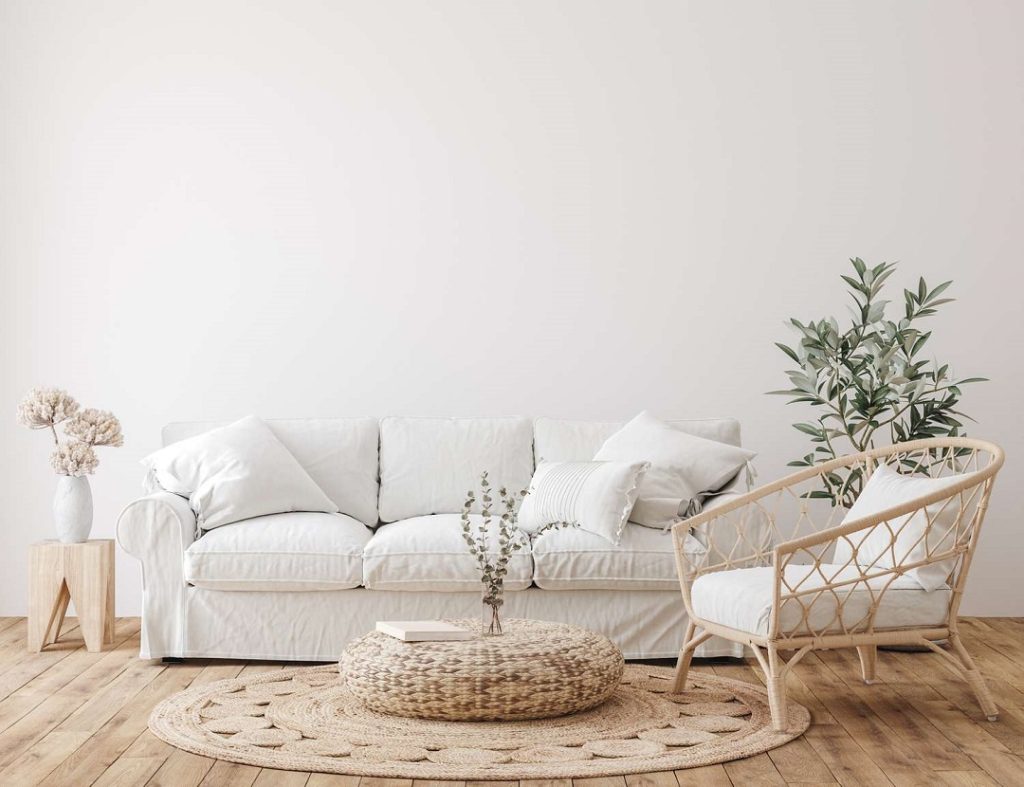 White Sofa Ideas