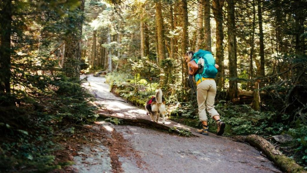 Are there hikes near NYC that are kid-friendly?