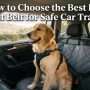 A happy Golden Retriever wears a secure harness and seat belt tether inside a moving car.