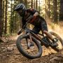A cyclist riding a fat tire mountain bike on a sunlit dirt trail.