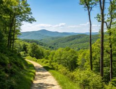 Discover the health, wellness, and lifestyle benefits of living near scenic nature trails in Blue Ridge, GA. Find your perfect mountain escape today!