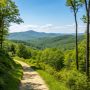 Discover the health, wellness, and lifestyle benefits of living near scenic nature trails in Blue Ridge, GA. Find your perfect mountain escape today!