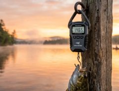 Digital portable fish scale hanging over serene lake at sunrise.
