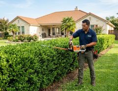 Gardener trimming thick hedges in a bright Texas backyard with a cordless tool.